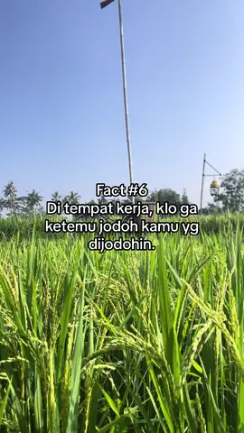 Pernah ga ketemu temen yg akhirnya punya jodoh satu kantor, mungkin bisa dibilang 1% dari sekian banyak orang di kantor sih. Cuman, ini bakal jadi cerita yg seru banget sampe diceritain lintas generasi wkwk. Tapi, klo lu jomblo dan ada temen satu kantor lu yg juga jomblo. Siap-siap aja jadi yg dijodohin 😁 #worklifebalance #fyp #corporatelife 