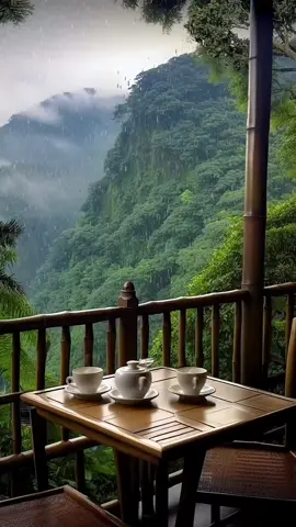 #nature #scenery 