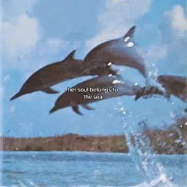 🐚🌊☁️ #enigma #pinterest #moodboard #aesthetic #ocean #sadenessenigma 