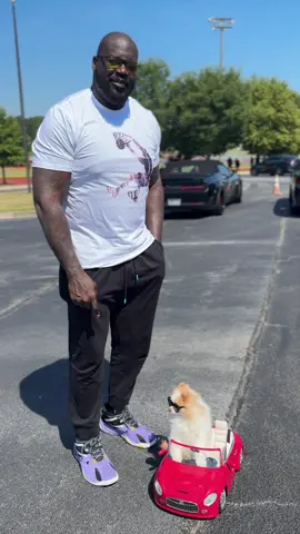 @ShaqDieselONeal & Koda The Fluff pumping up the kids at Henry County Sheriff’s Sports Summer Camp💪  The Sheriff hosts so many AMAZING events with the community and focus on great values with the kids. 👏 #smilesfurmiles  #therapydog #kodathefluff i#nonprofit #police #lawenforcement #sheriff #shaq #shaquilleoneal #basketball #kids #summercamp #community @Brett Raymer @TenaciousTiffany Thanks to @Ocu-GLO® for hosting my trip!