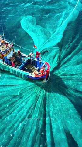 Mãn nhãn với cảnh đánh lưới cá cơm ở Phú Yên 🇻🇳 📸: IG @haionthego #phuyen #haionthego #netfishing #lướivây #buivanhai 