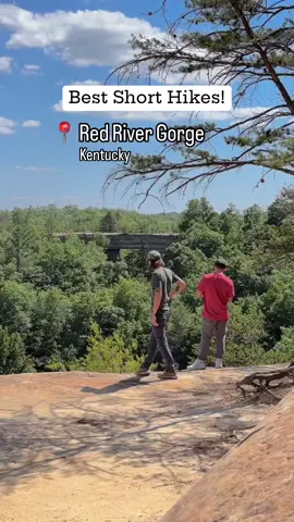 Reposted from @billy.hikes: “Easy hikes with epic features in the Red River Gorge. All these hikes are under a mile! . . 📝 Tell me what I missed!! . 📍 Sky Lift to Natural Bridge 📍 Chimney Top Overlook 📍 Sky Bridge 📍 Angel Windows 📍 Whistling Arch 📍 Princess Arch 📍 Henson’s Arch” ⚜ Follow @letsgolouisville for more Louisville tips!⁠ ⚜ Use #LetsGoLouisville for a chance to be featured!⁠
