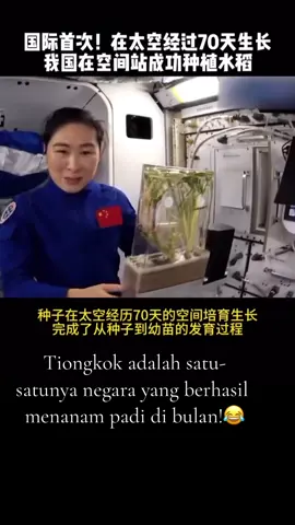 Yang pertama secara internasional! Setelah 70 hari pertumbuhan di luar angkasa, Tiongkok berhasil menanam padi di stasiun luar angkasa!!  Apakah wacana pindah ke bulan itu bakal direalisasikan??? Kalo aku mending di bumi aja sih hahahaha #indonesia🇮🇩 #china #education 