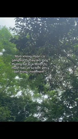 #xuhuong #tieucuc #xh 