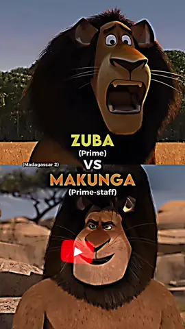 Zuba vs Makunga #zuba #makunga #madagascar #madagascar2 #dreamworks #dreamworksanimation #edits #battle #jsbattles 
