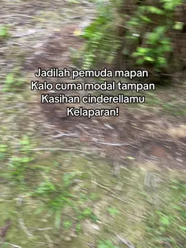 #sawit #sawitontiktok #storywa #petanimuda #sawitbalap #kelapasawit #kebunsawit #tokesawitmuda #kalimatanbarat #sawitkalimantan #fyppppppppppppppppppppppp 