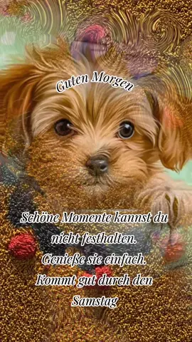 #CapCut #schönentag #foryoupage #gutenmorgen #viral #fyp #samstag 