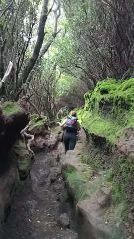 masuk ke lorong tokus gunung kerinci,