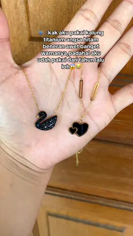 Kalung titanium angsa hitam emang rekomen banget nih karena sudah full titanium jadi awet banget dong❤️#kalungtitaniumangsa #kalungtitanium 