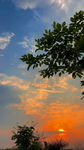 Some beautiful scenery...........///////🏝🏕 . . . . . . #steetphotography #naturalphotography #CapCut #tending_video #sky #foryousuggest #travel #traveling #tree #sun #foryou #naturalvideo #bangladesh 