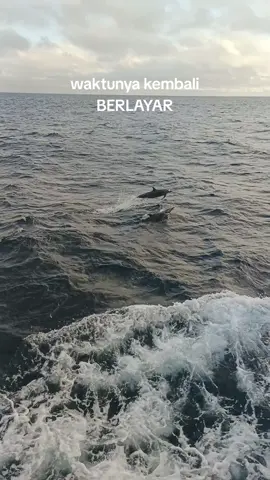 see you sinyal📶🌊⚓#kapallongline #pelautindonesiatiktok #abkkapal #pejuangsamudera #pelaut #pelaut🇹🇼🇮🇩 #pelautpunyacerita #pelautindonesia #fyppelaut #pasanganpelaut #pelauttangguh 