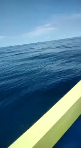 kawan 🐬🐬🐬🐬🐬❤️👍#comedia 