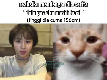 gedenya aja pendek, apalagi pas masih kecil, botol yakult #fyp #meme #memes #memestiktok #cat #kucing #chaeyoung #chaeyoungtwice #twice 