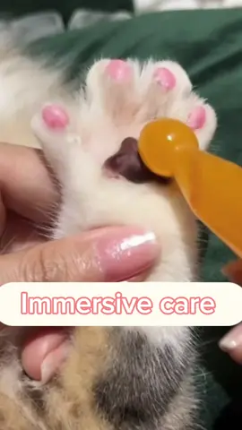 #foryou #cats #like #clening 