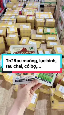Aly gold tru co lá rộng #thuoctrucoluudan #thuoctruco 