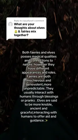 Replying to @copyallycat Faeries are heavily seen throughout Celtic & Eurpoean Folklore where Elves are seen heavily through Norse and Germanic Folklore 🫶🏼🧚🏽✨ #magick #earthchild #forestfairy #folklore #idobelieveinfairies #naturegirl #spiritualtok 