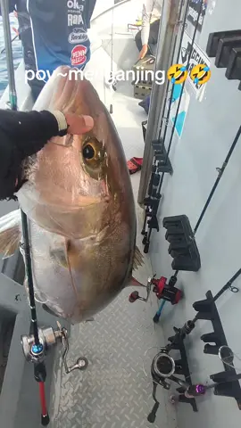 pov~dendam kesuma yg lama terpendam ni🤣🤣🤣🤣 #menganjing #deepsea #bisayako❤️ #bisayako❤️ 