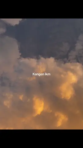 Tapi ikm kda kangen lawan aku#fyp#fyppppppppppppppppppppppp #fypシ #storybanjar#fypシ゚viral #storyvideokatakata #katakatabanjar #storykatakata #fypシ゚ #storykatakatabanjar 
