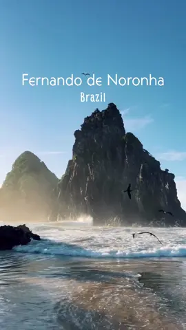 Noronha é um dos lugares mais lindo que voce vai conhecer ✨ @thierryguianoronha #fernandodenoronha #praiasdonordeste #noronha #praiasbrasileiras #pernambuco #ilhaparadisiaca 