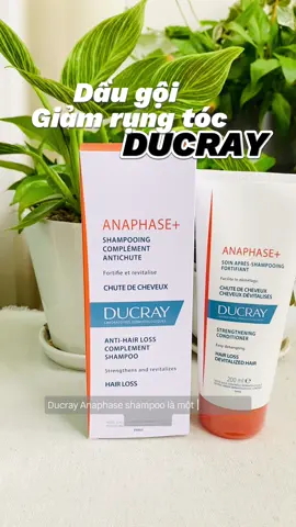 Dầu gội giảm rụng tóc Ducray Anaphase #daugoi #giamrungtoc #shampoo #dauxa #ducray #dodoshop #xuhuong 