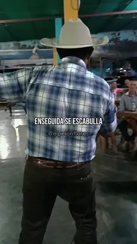 yo no soy familia suya #elorza #music  #elpelonflores #venezuela #llanera #estadosparawhatsapp #achaguas 