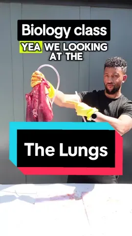 As this got SLAPPED with a graphic notice yesterday - here is a PG repost of my Lung Rap ✌🏾 #lungs #breathing #pulmonary #breathe #oxygen #air #rappingteacher #exams #revision #gcse #stem #school #Science #combinedsciencegcse #biology #TikTokforGood #tiktok_partner 