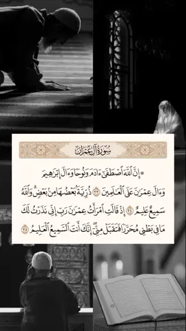 #تلاوة_خاشعة  #قران  #تلاوة_خاشعة  #راحة_نفسية  #quran  #thabet_hichem 