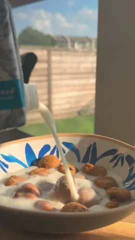 Cookie Crisp Cereal 🍪  Just take yoir favorite cookie doigh and make small balls. Bake 12ish minites at 350f. Test for a few minutes and enjoy with your fav milk. 