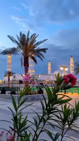 cahlo ao krta hay Toba kaa sajda🤍💗❤️❤️💞#isalamic #islamic_video #islamicstatus #islamic_media #foryou #foryoupage 