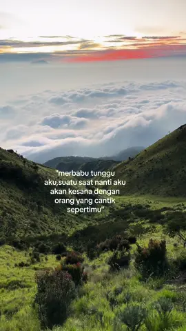 impian pendaki #merbabu #merbabuviaselo #fyp #wishlist #pendakigunung #naikgunung 