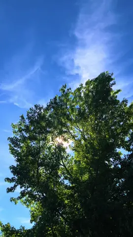 Sunny days.  #aestheticvideos #cinematic #cinematography #film #aesthetic 