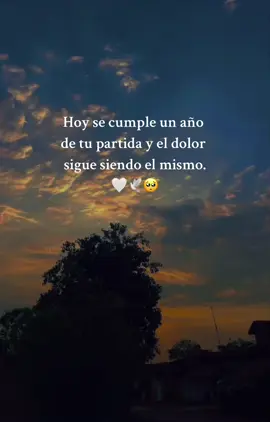Ya un año sin ti papá 🕊️🥺 Pero tus palabras de aliento siguen resonando en mi mente, dándome fuerzas en los momentos difíciles.🤍😢 #teextrañomucho #miviejito #teamo🤍🥺 #29junio2023 #angelenelcielo🕊♥️ 