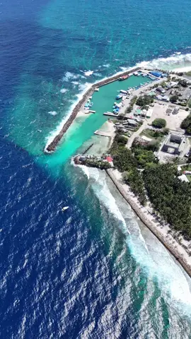 The beautiful Shark Island Harbor - Fuvahmulah Bandharo #myfuvahmulah #visitmaldives #visitfuvahmulah #sharkisland #tigershark @Visit Maldives @Lonubreak @Fuvahmulah City Council  www.myfuvahmulah.com