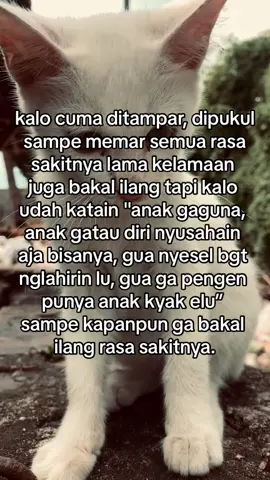 #fyp #galaubrutal #4u 