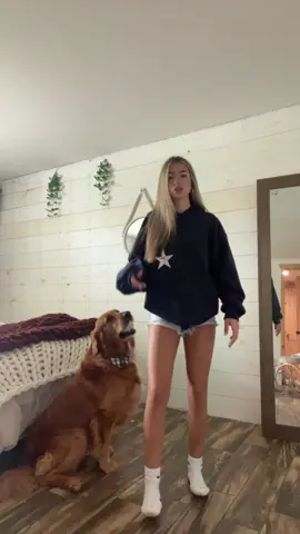 His name is Moose #Jesuslovesyou #fyp #foryou #foryoupage #blowthisup #viral #dance #trending #dog #outfitinspo #outfitideas #pet #outfit #trend #dancing #dancestolearn #dances2024 #hairstyle #hoodie #jeanshorts #Summer 