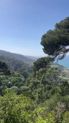 #MAROCIYA❤️🇲🇦 #شعب #MAROCIYA❤️🇲🇦 #YA❤️🇲🇦 #YA❤️🇲🇦 #شعب #MAROCIYA❤️🇲🇦 #YA❤️🇲🇦 #MAROCIYA❤️🇲🇦 #شعب #YA❤️🇲🇦 #شعب #MAROCIYA❤️🇲🇦 #شعب 