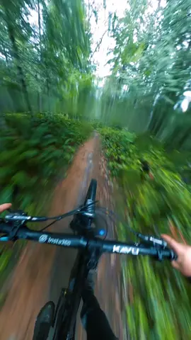 Speed run! #mtb #gottagofast #forest #CapCut 