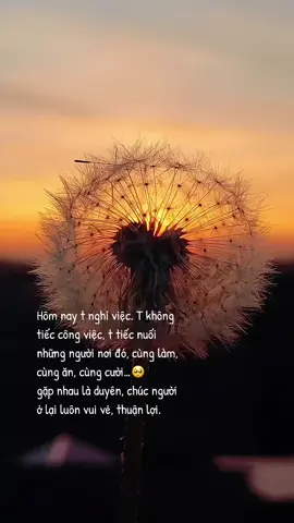 Quãng thời gian này sẽ là kỷ niệm khó phai trong cuộc đời t. Cảm ơn vì đã đồng hành cùng nhau ❤️ #nghiviec #lastday