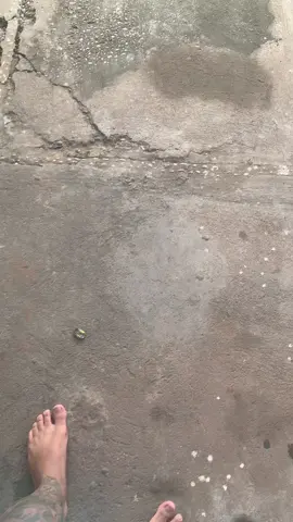 #fy #tattoo #tatuagem #tatuador #ideiasdetattoo 