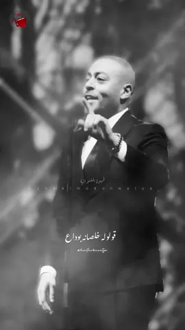قولوله خلصانة 🤟🏻 بوداع 👋🏻 هيجيني موجوع - تامر عاشور #هيجيني_موجوع #تامر_عاشور #تامرعاشور #tamerashour #اغاني_حزينه #قهوة_المغنواتية 
