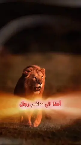 احنا الي نماشي رجال#جديد #تصميمي_رايكم @Odai Zagha عدي زاغة @الفنان محمد الشيخ @الفنان مازن عساف #احنا #الي #نماشي #رجال #كتف #بكتف #شيال #مسندم #محزم #مليان #طناخه #اغاني_حماسيه ##هيبه #هيبه_ملوك #هيبه_من_نمشي_ضباط_تخريخ_العسكرية #هيبه_رجل #هيبه_نعيمي✌ #حماسية #حماسيه🔥 #مراجل ##كفو #كفوووو #كفو_كفو #كفووووووو❤❤ #اطنخ ##تصميم #تصميمي #تصميم_فيديوهات🎶🎤🎬 #تصميمي❤️ #تصميمي🎬 #تصميم_فيديوهات #تصميم_فيديوهات🎶🎤🎬تصميمي🔥 #تصميمي_رايكم #تصميم_شاشة_سوداء #تصميم_فيديوهات🎶🎤 #مصميم_فيديوهات🎶🎤🎬 ##المصمم_علوش_العراقي #المصممين #المصمم_عبودي❤️🥺 #المصمم_جبوري #المصمم_نوني#الشعب_الصيني_ماله_حل😂😂😂 #الشعب_الصيني_ماله_حل😂😂🏃🏻‍♀️ #الشعب_الصيني_ماله_حل😂😂🙋🏻‍♂️💜 #الشعب_السعودي #الشعب_القطري_ماله_حل😂😂 #اليمن🇾🇪 #اليمن🇾🇪المملكة🇸🇦 ##دعمكم #دعمكم_ورفعولي_فديو #دعمكم_سر_نجاحي #دعمكم_لايك_ومتابعه_واكسبلور_حته_استمر #دعمكم_لي♡ #دعمكم_لكي_استمر😘 #دعمكم_ورفعولي_فديو_لايكات_تكفون #دعمكم_للستمرار #دعمكم_لي_يخليني_استمر #دعمكم_سر_استمراري⭐🔮##قالب_كاب_كات #قالب_جاهز_نار🔥 #قالب_كاب_كات_جاهز #fypシ #fypシ゚viral @Tooooo 