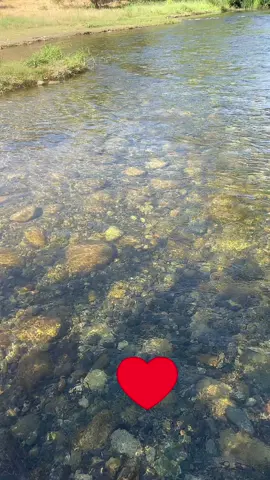 #anocheestuvellorando🥹#grupoAlfa #romanticas#favoritas💓 #parativiraltiktok #paratiiiiiiiiiiiiiiii 