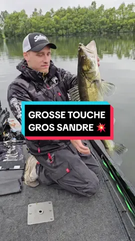 Je le voyais plus gros mais 70+ quand même 🦇💥  #Zander #Sandre #Fishing #Pêche 