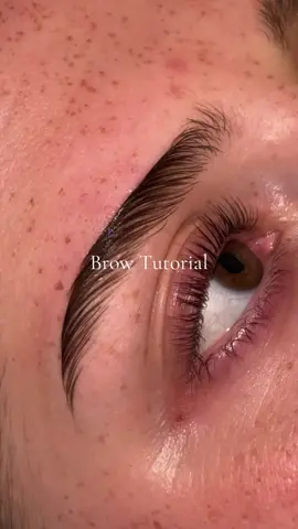 Love a clean brow look 😍 @L’Oréal Paris #lorealparis #lorealparisbrowgel #browlamination #browlaminationtutorial #foryoupage #fyp #foryou #fypシ゚ 