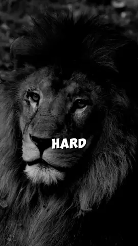 Keep pushing. Keep trying. Best Motivational Quote. #listentothis #motivationaltiktok #motivate #motivated #motivationalvideosforyou #motivationalclip #listentothiseveryday #motivationoftheday #motivation #growbeyondyourlimits #mtivationalvideo #motivationalquotes #motivationquote 