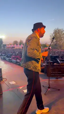 POV: subes al escenario con Juan Luis Guerra #bachatarosa #concierto