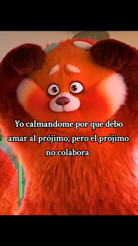 🥱#parati #projimo #Viral #contenido #🙄 #gracioso #Meme #scz #todos 