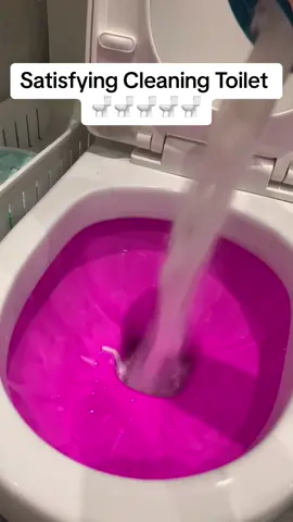 Satisfying ASMR Cleaning Toilets 🚽 #toilets #toilet #toiletclean #cleaning #clean #CleanTok #cleaningtoilet #satisfying #oddlysatisfying #asmr #fyp  