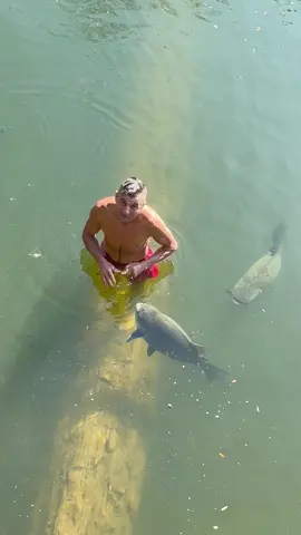 #valdemir  encantador de peixes gigante 