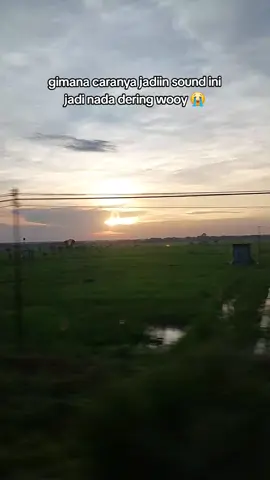 tutor dong suhu #fyp #nadadering  #lagiviral #viralvideo 